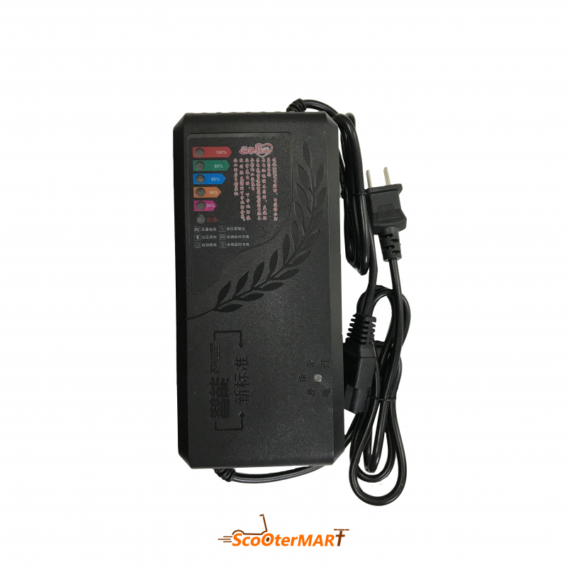 شارژر 60ولت موتور برقی مدل road shield smart charger